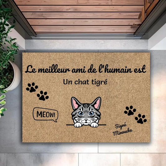 Le meilleur ami de l'humain est un chat - Paillasson personnalisé